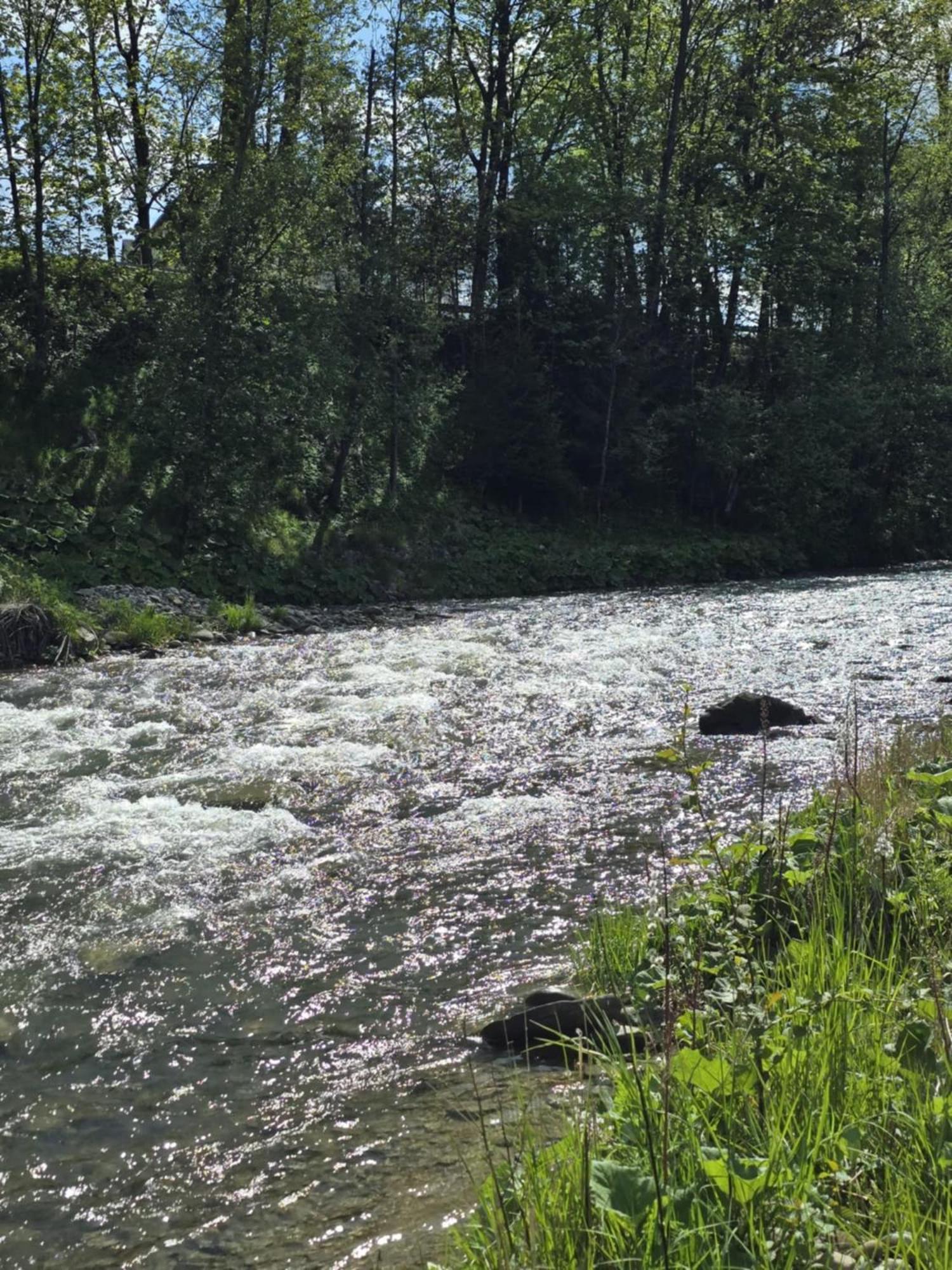 Chocholowska Zohylina Pokoje I Domek المظهر الخارجي الصورة
